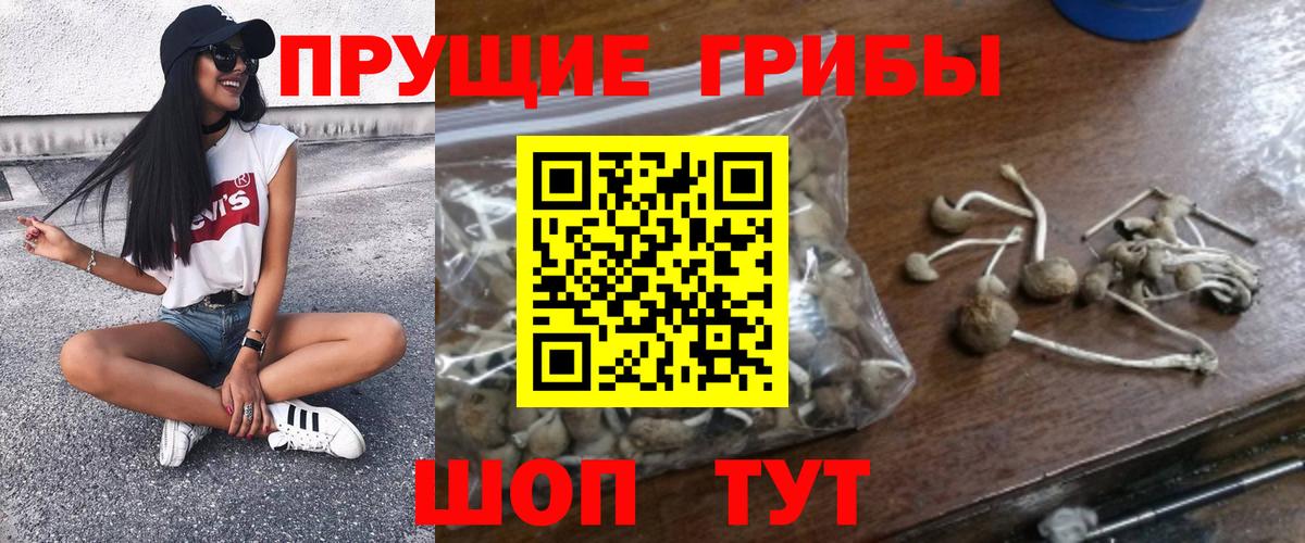 Галлюциногенные грибы Psilocybe  Галлюциногенные грибы GOLDEN TEACHER  Малоярославец  Вход с VPN 