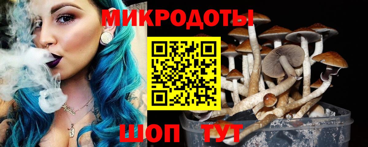 Псилоцибиновые грибы мухоморы Малоярославец
